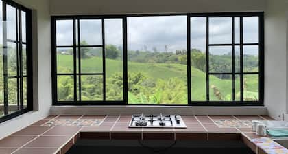 Finca Cafetera, Refugio de Tranquilidad y Naturaleza