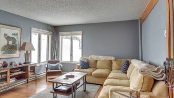 TV, fireplace, books