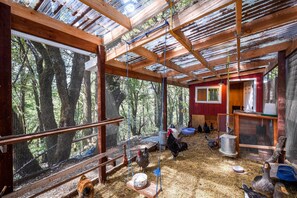 Property grounds - Mountain Homestead: Swim, Hike, & Camp On-site! (Los Gatos)