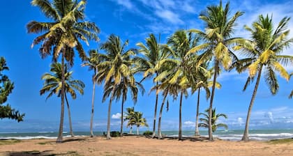 Playas Del Yunque Condo: Pool & Beach Access