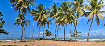 Playas Del Yunque Condo: Pool & Beach Access