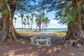 Apart Daire (1 Bedroom) | İç mekân