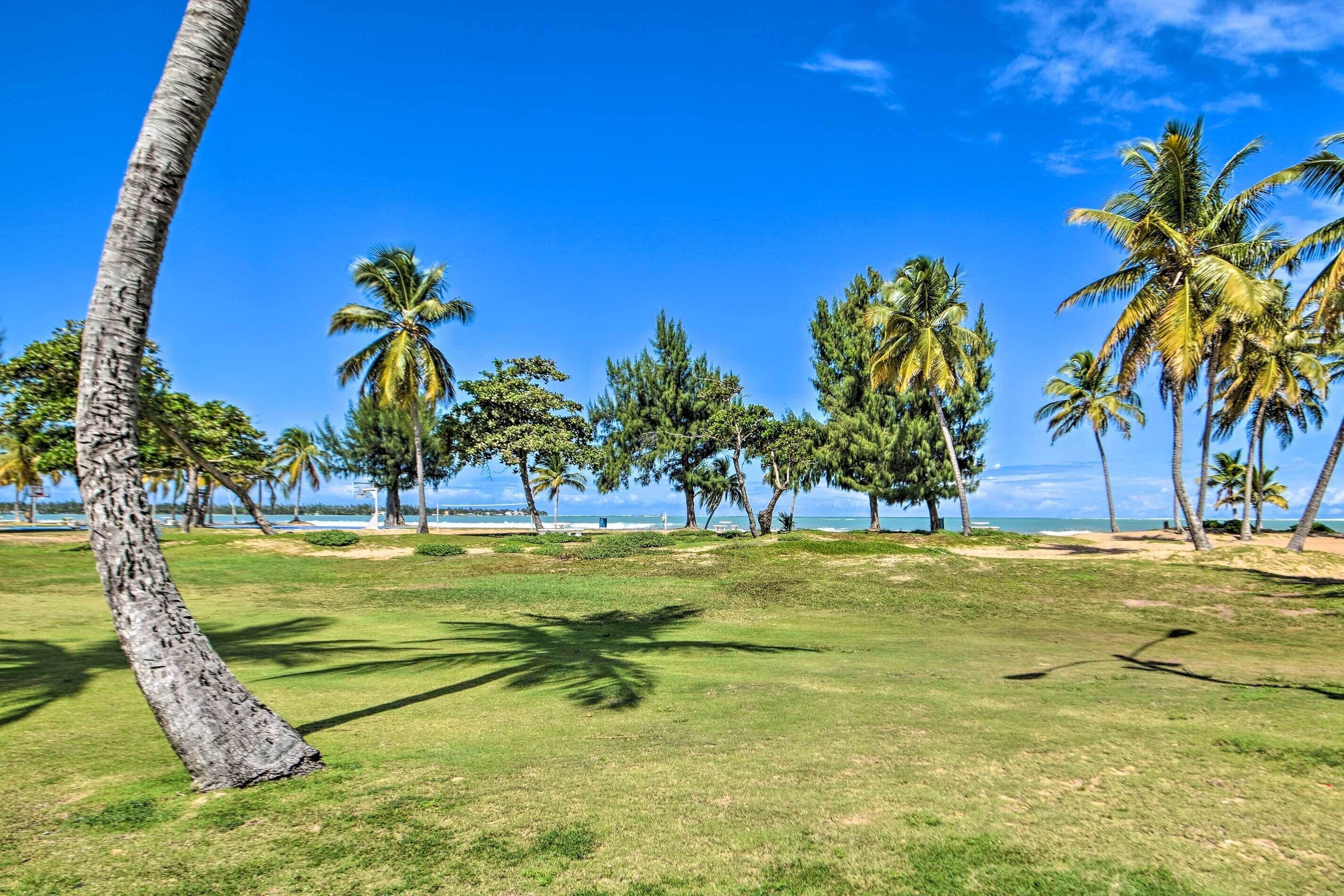 A grassy area with palm trees and a clear blue sky.