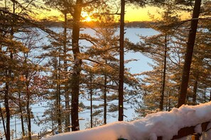A forested area with tall trees and a body of water.