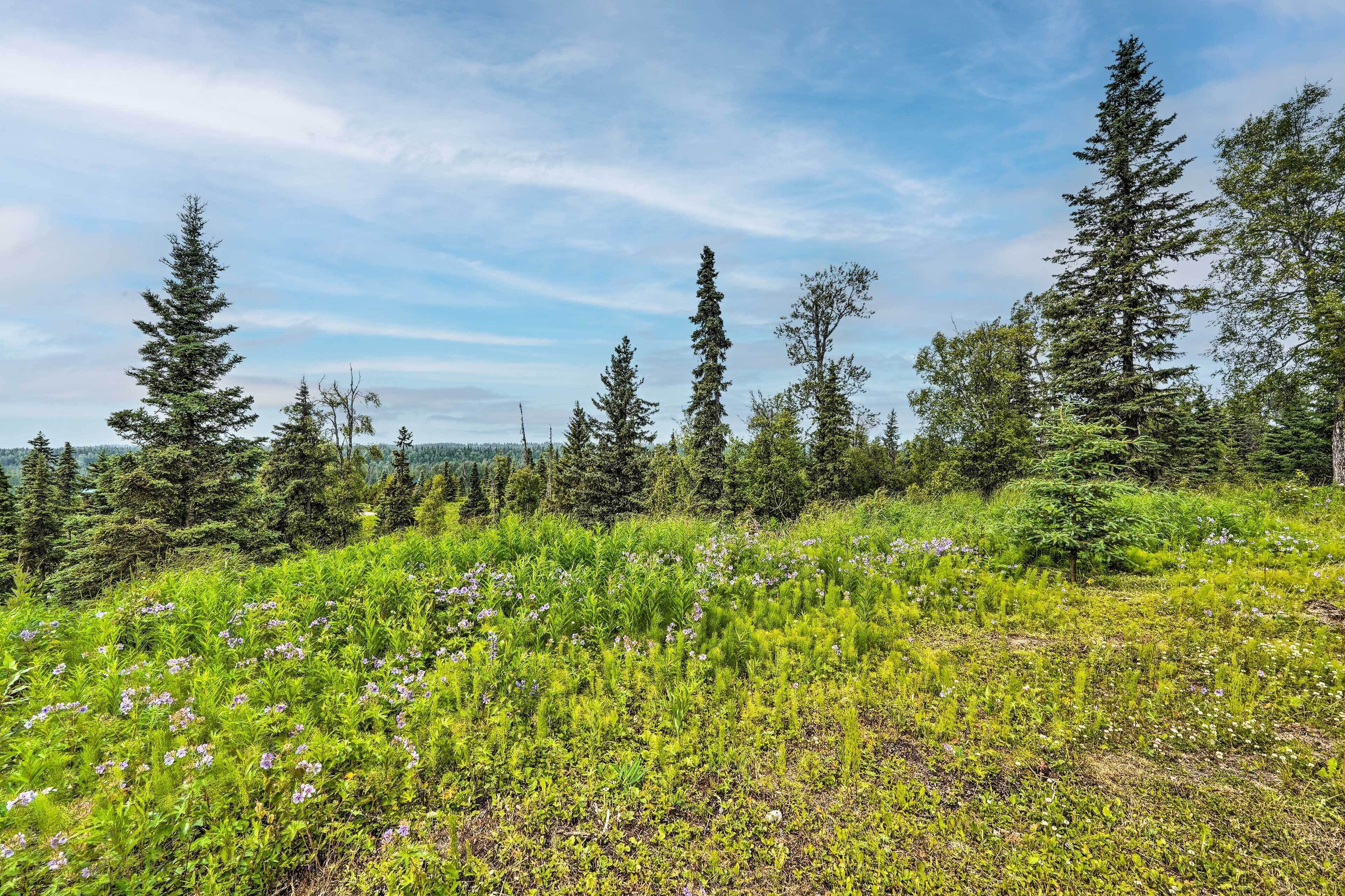 Cottage (1 Bedroom) | Interior