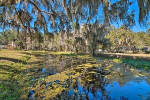 A serene park with a pond, surrounded by trees with Spanish moss, and a clear blue sky. - Waterfront Studio w/ Dock Access in Inglis! (Inglis)