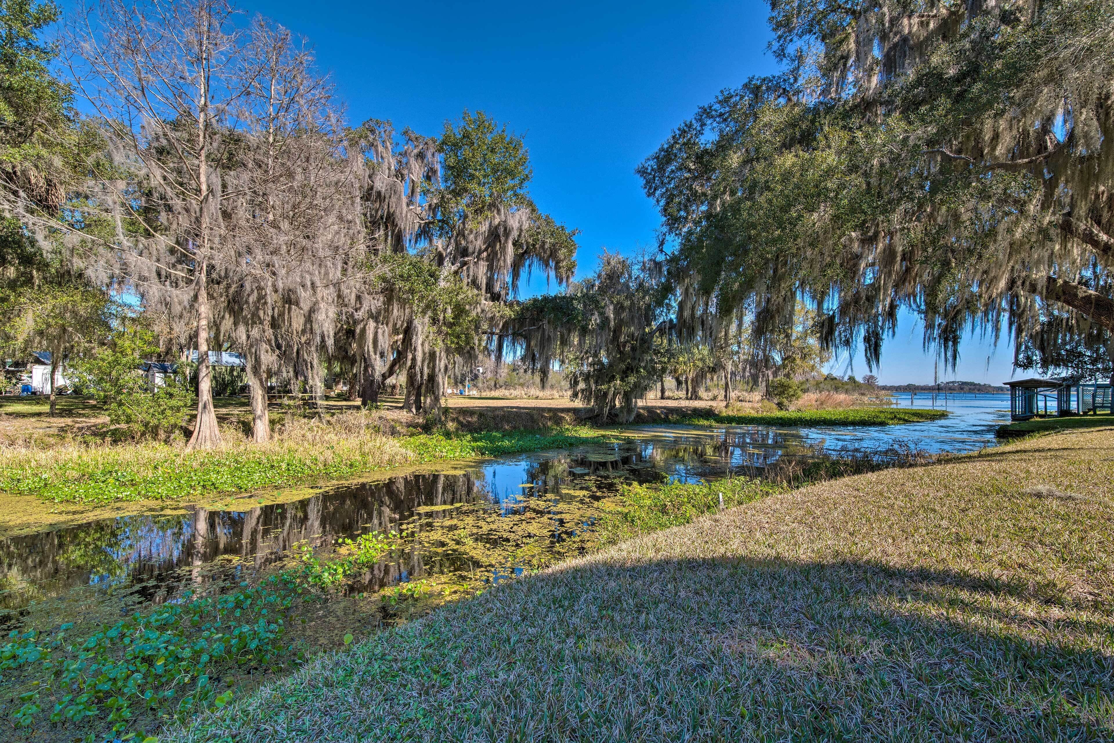 Apartment (0 Bedroom) | Interior