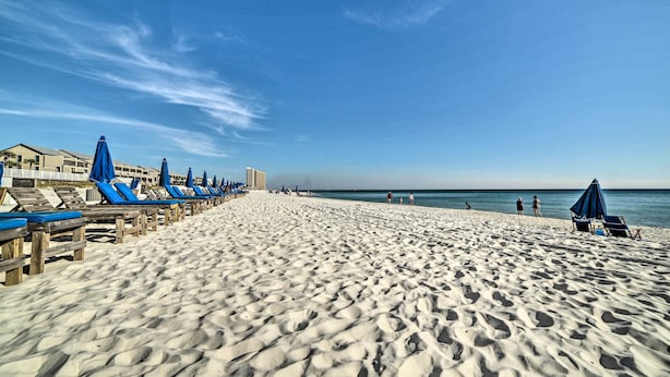 A beach with rows of blue umbrellas and lounge chairs, a clear sky, and a calm sea. - Beachfront PCB Escape w/ Free Beach Chair Services (Panama City Beach)
