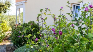 A garden with flowering plants in front of a building with a white window and a door. - APP ELLY - 2 min from the beach! (Novigrad)