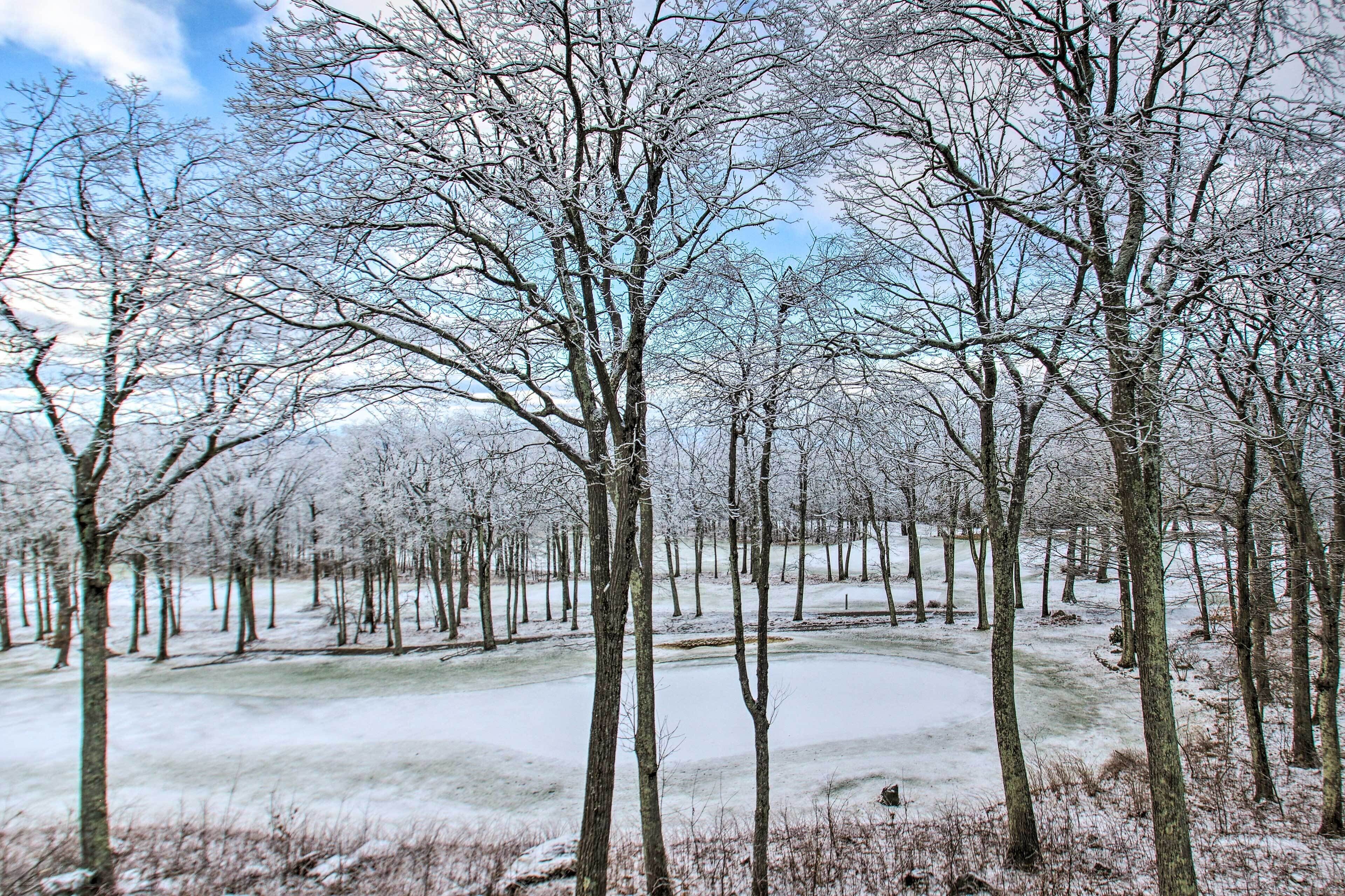 A snow-covered landscape with trees and a frozen pond.