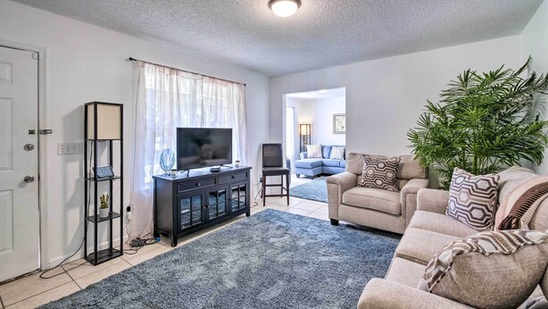 A living room with a sofa, a TV on a stand, a plant, and a blue rug. - Sunny Abode, 10 Mi to University of Florida! (Gainesville)