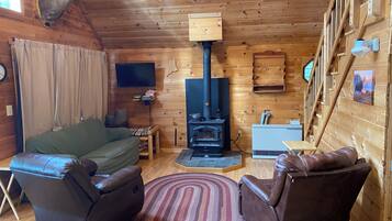 Smart TV, chimenea, libros