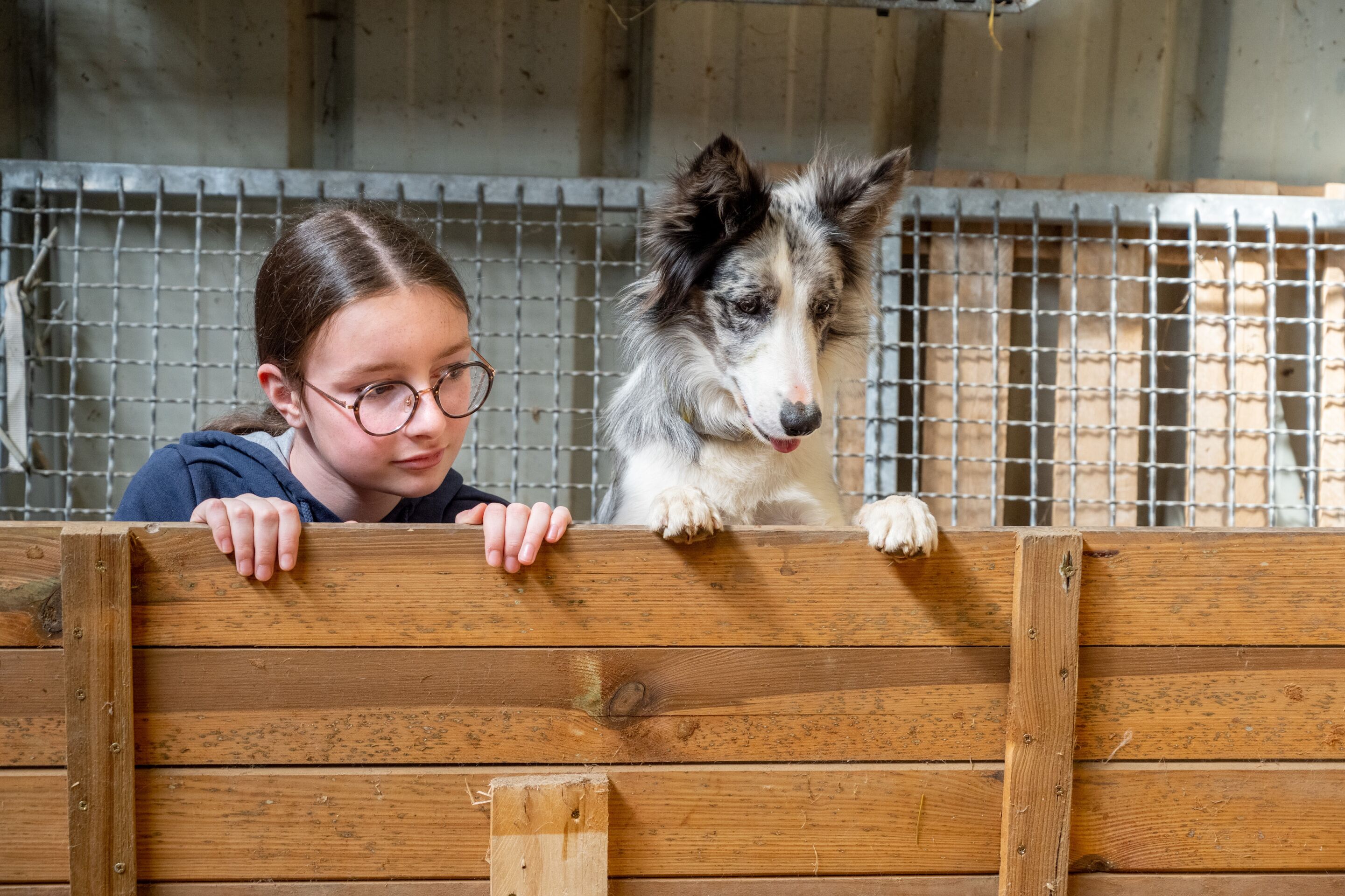 A person leaning on a wooden fence with a dog on the other side.