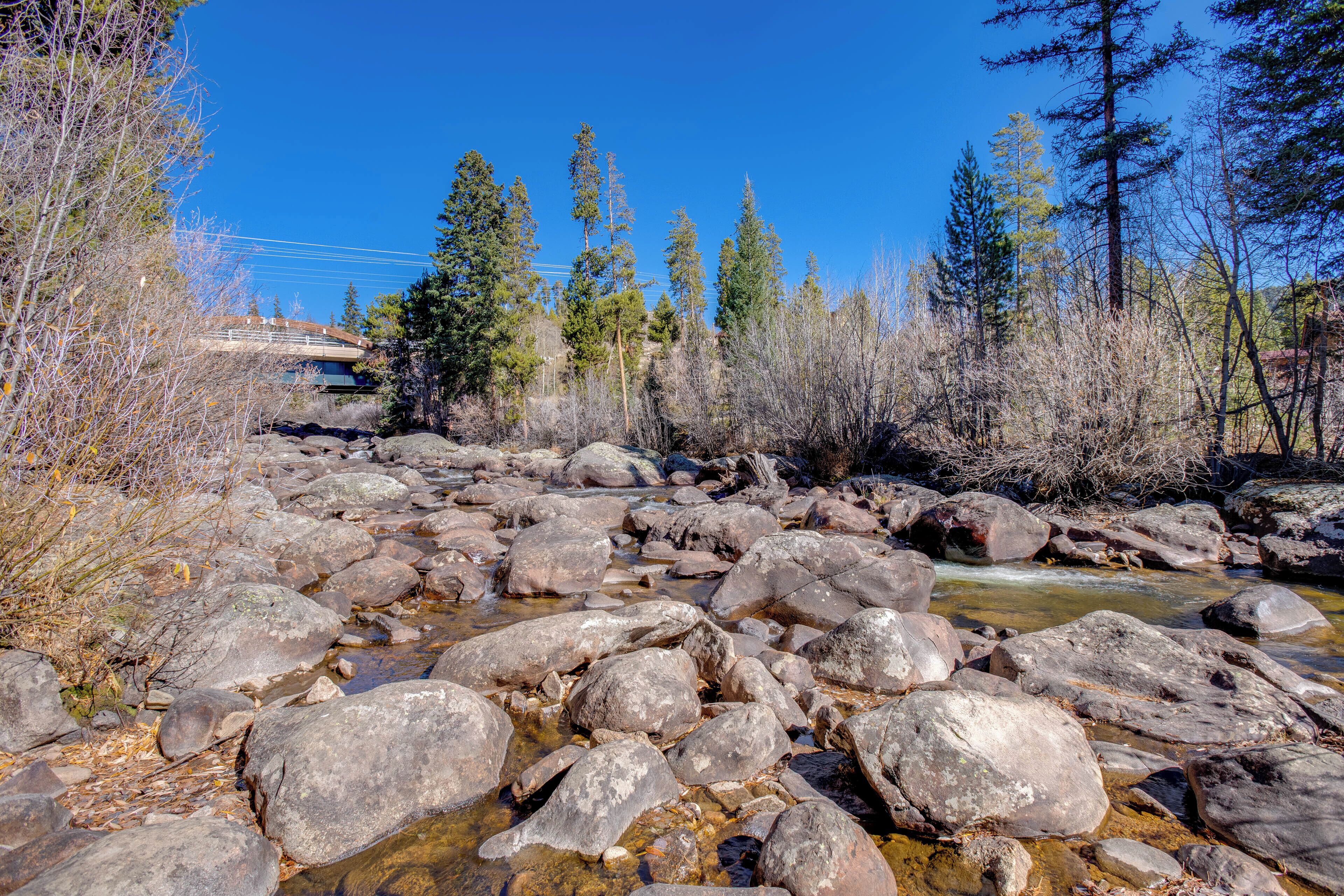A rocky stream with large boulders and trees in the background.