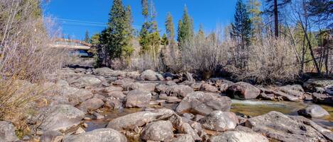 A rocky stream with large boulders and trees in the background.