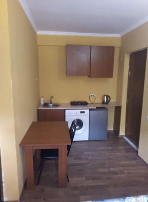 Private kitchen - Tbilisi, Studio Apartment in Vake (Tbilisi)