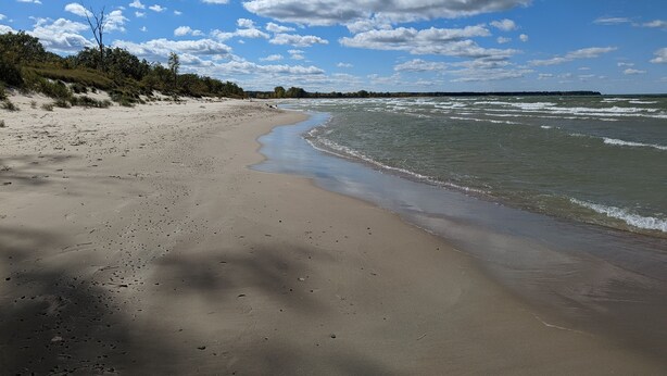 A beach with a sandy shore, gentle waves, and a clear sky with scattered clouds. - Little Yellow Cottages (Port Austin)