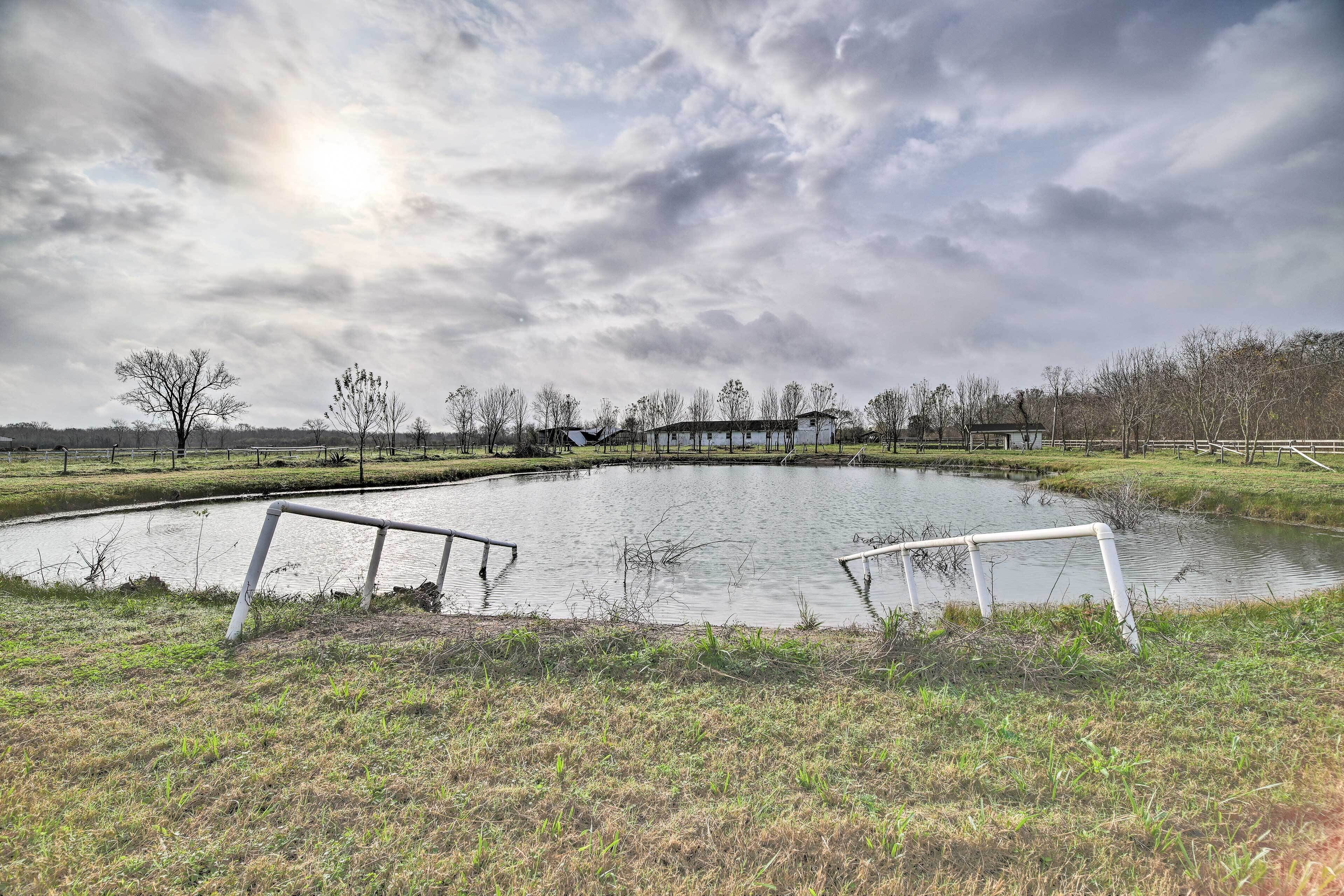 Un grand bassin circulaire, avec une clôture blanche en premier plan.