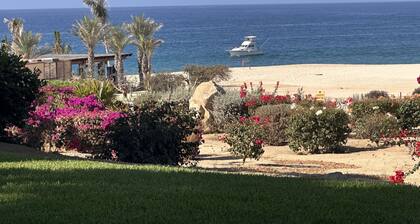 "Stunning Oceanfront One-Bedroom Condo with 180° Sea of Cortez Views