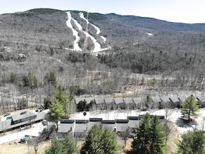 Apartment (3 Bedrooms) | Interior - Lincoln Station Escape - Walk to Restaurants! (Lincoln)