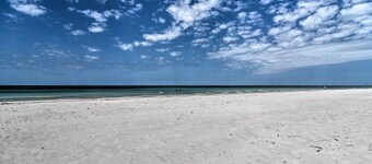 Outdoor Dining, Steps to Sand: Indian Shores Condo