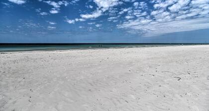 Outdoor Dining, Steps to Sand: Indian Shores Condo