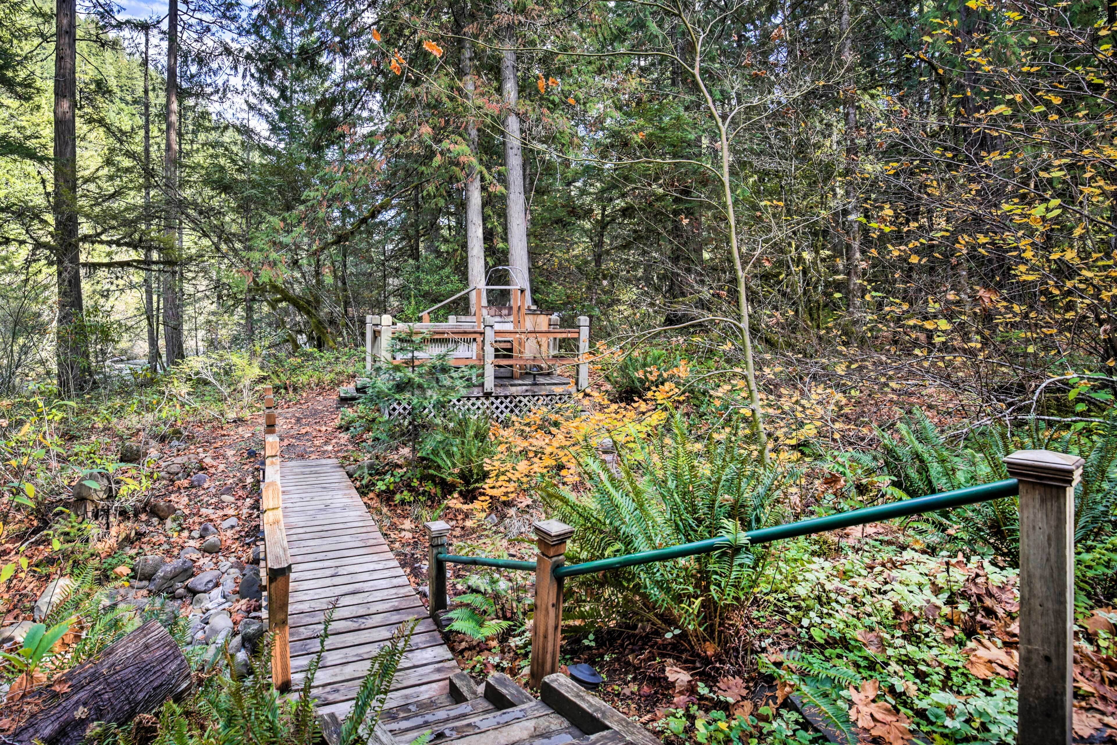 Un escalier en bois mène à une terrasse en bois, située dans une zone boisée parsemée de fougères et de feuilles mortes.