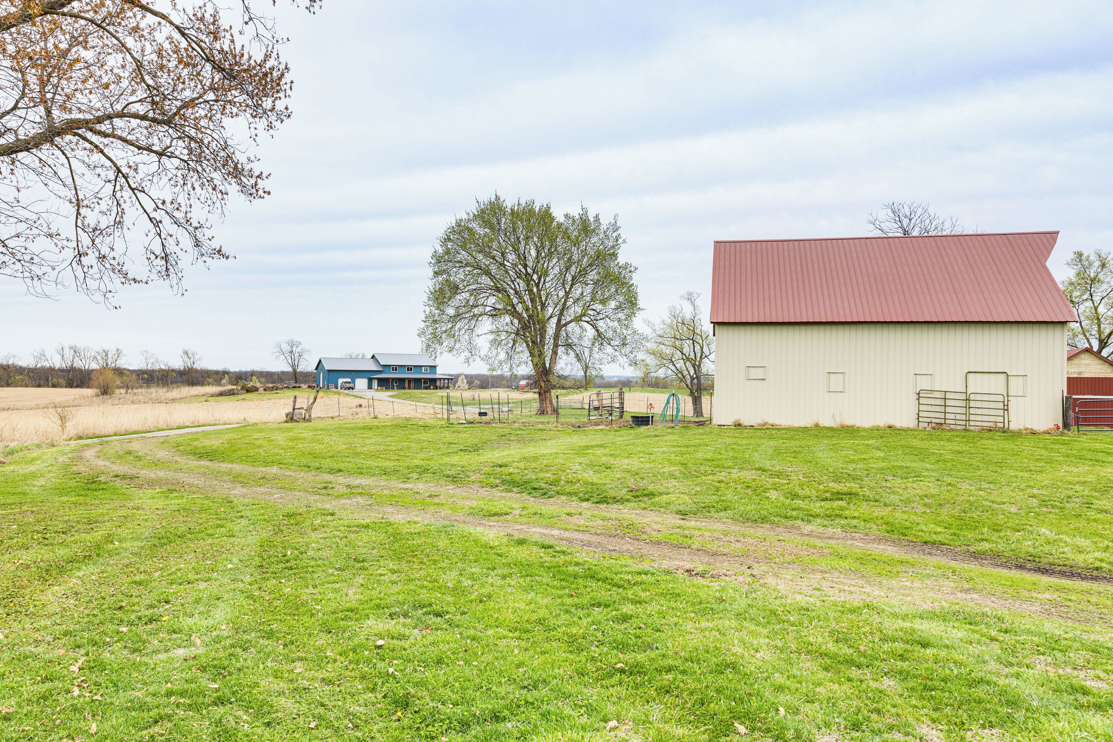 A rural landscape with a barn, a blue building, and a large tree.