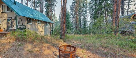 A rustic cabin with a metal roof, surrounded by tall pine trees.