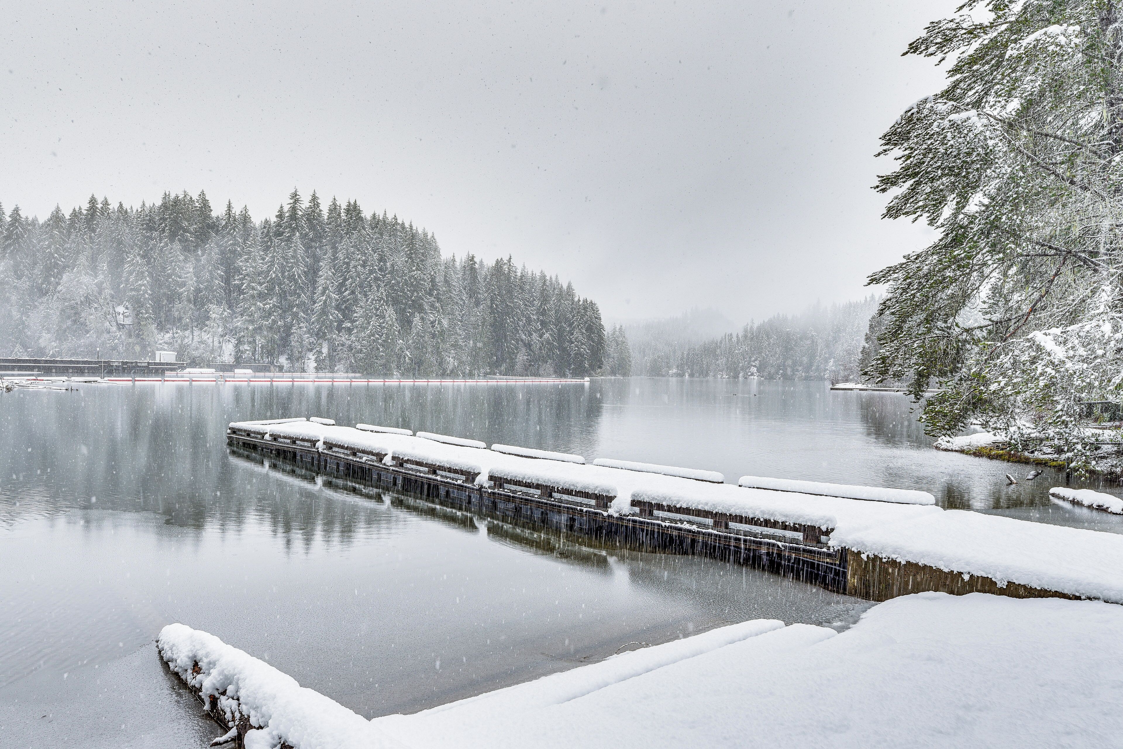 A snow-covered dock extending into a calm lake, surrounded by dense, snow-laden trees.