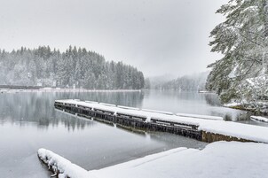 Un muelle cubierto de nieve se adentra en un lago tranquilo, rodeado de árboles con gruesas capas de nieve.
