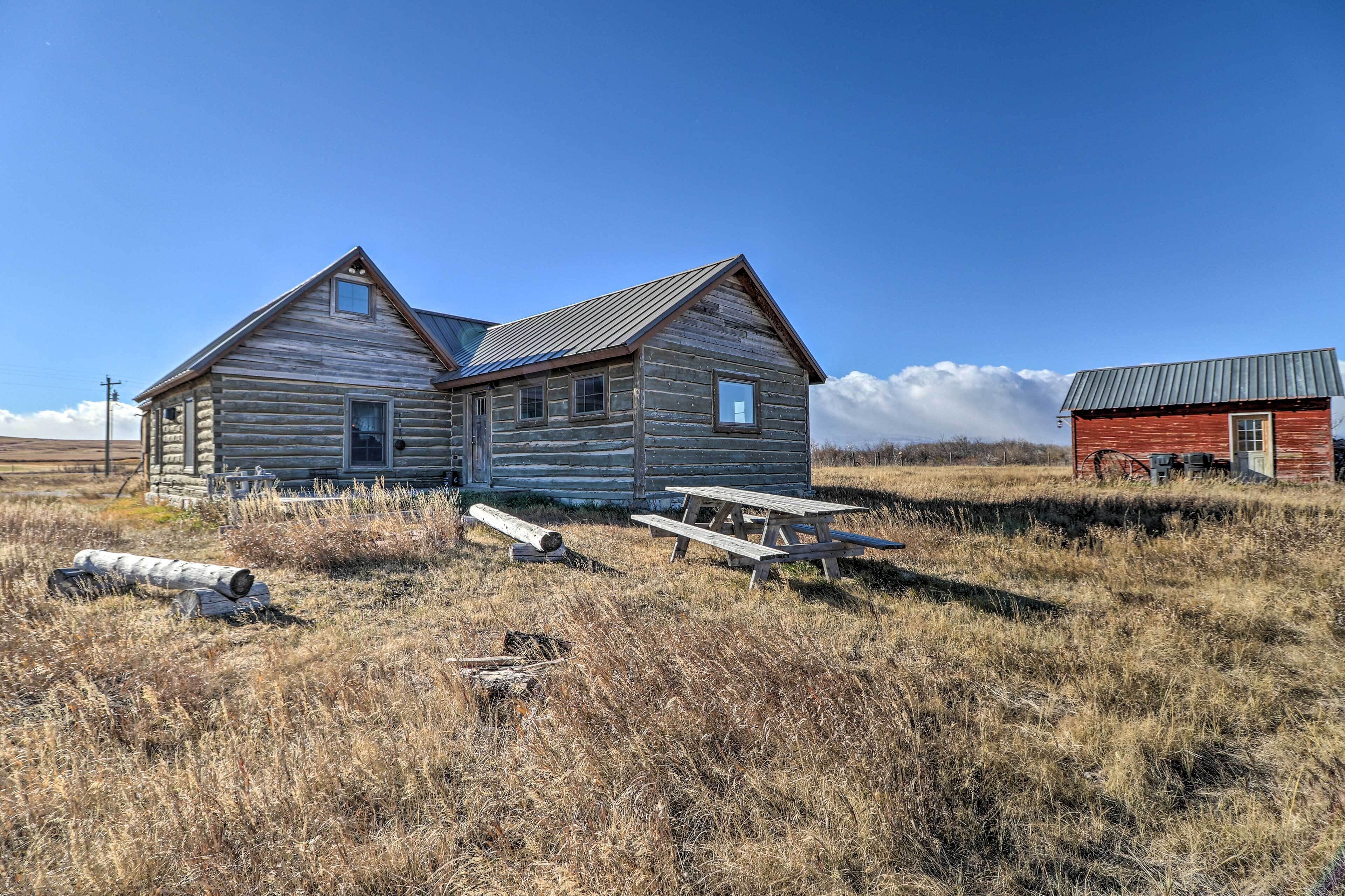 A rustic log cabin with a picnic table in a grassy field.