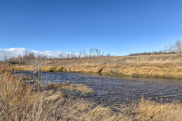A natural landscape with a river, dry grass, and trees under a clear sky.