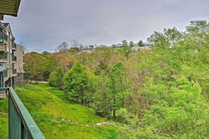 Apartment (2 Bedrooms) | Interior - Branson Condo on Golf Course w/ Pool Access! (Branson)