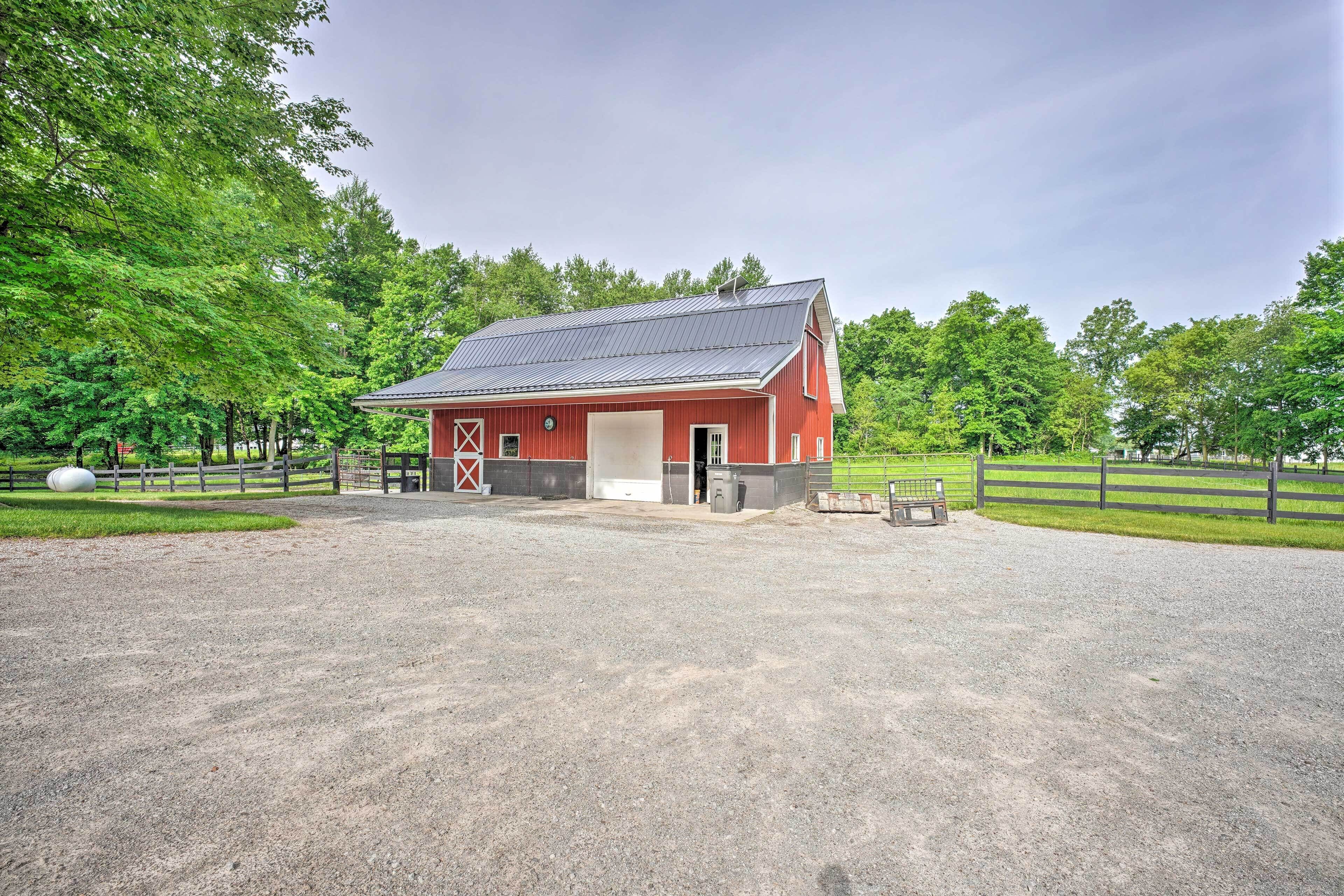 House (1 Bedroom) | Interior