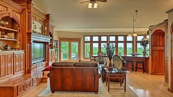 TV, fireplace, books