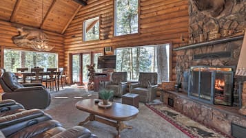 House (3 Bedrooms) | Living area | TV, fireplace, DVD player, books