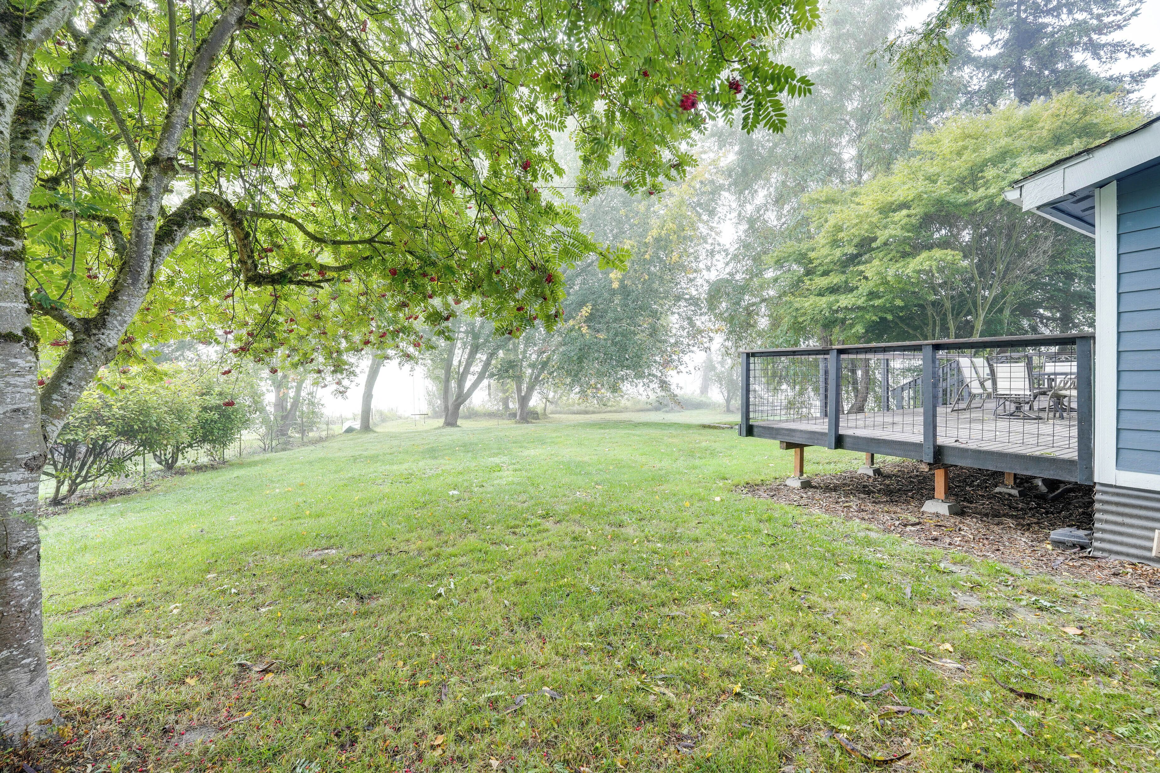 A grassy yard with a wooden deck and a building with a metal railing.