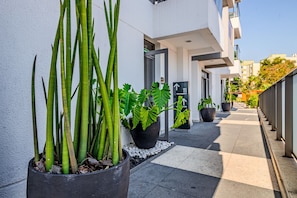 A modern building with a clean, minimalist design, featuring a narrow pathway lined with potted plants and a clear view of the entrance. - Vossa Bossa Vila Madalena Diseño (São Paulo)
