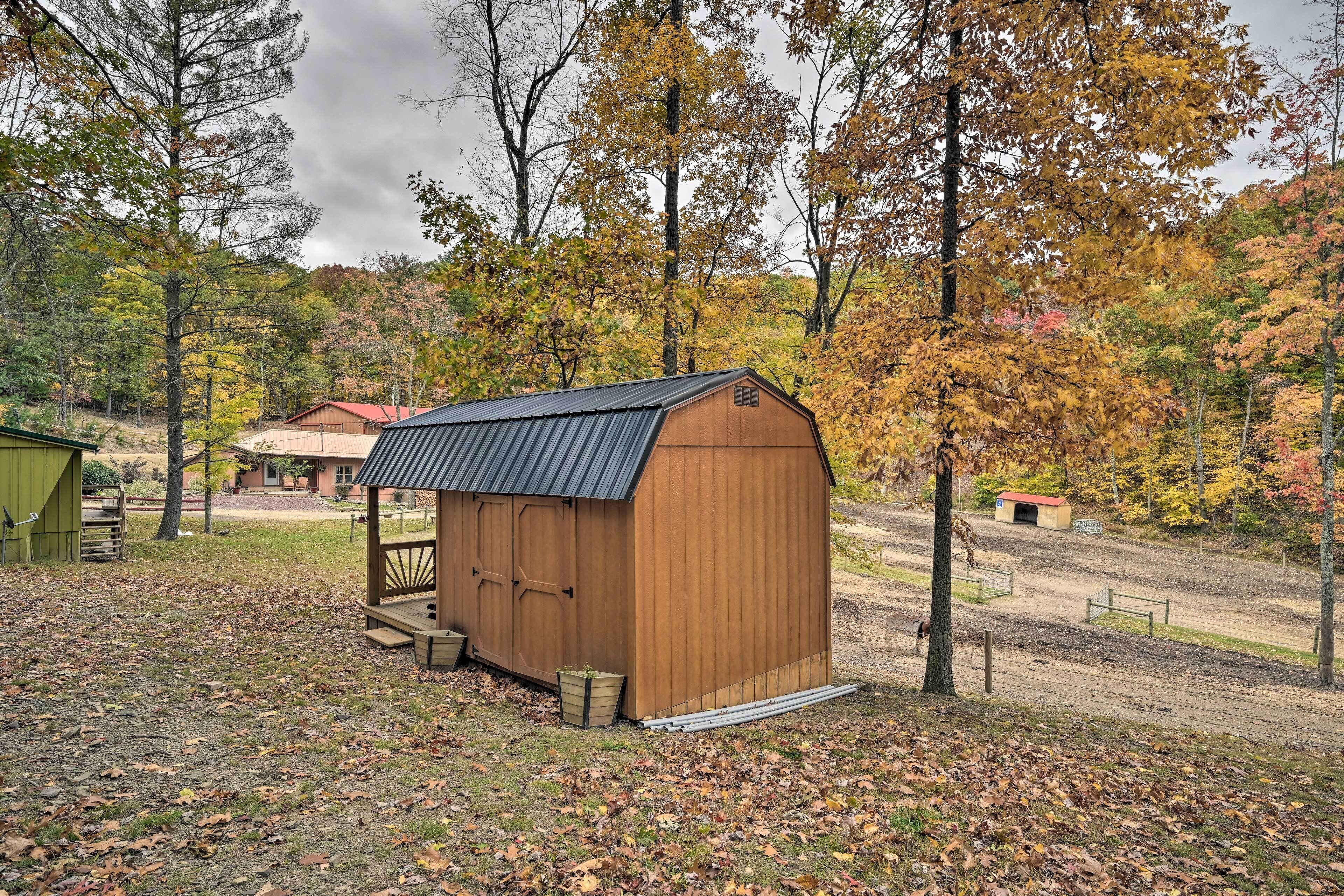 A wooden shed with a sloped roof, located in a wooded area with autumn foliage.
