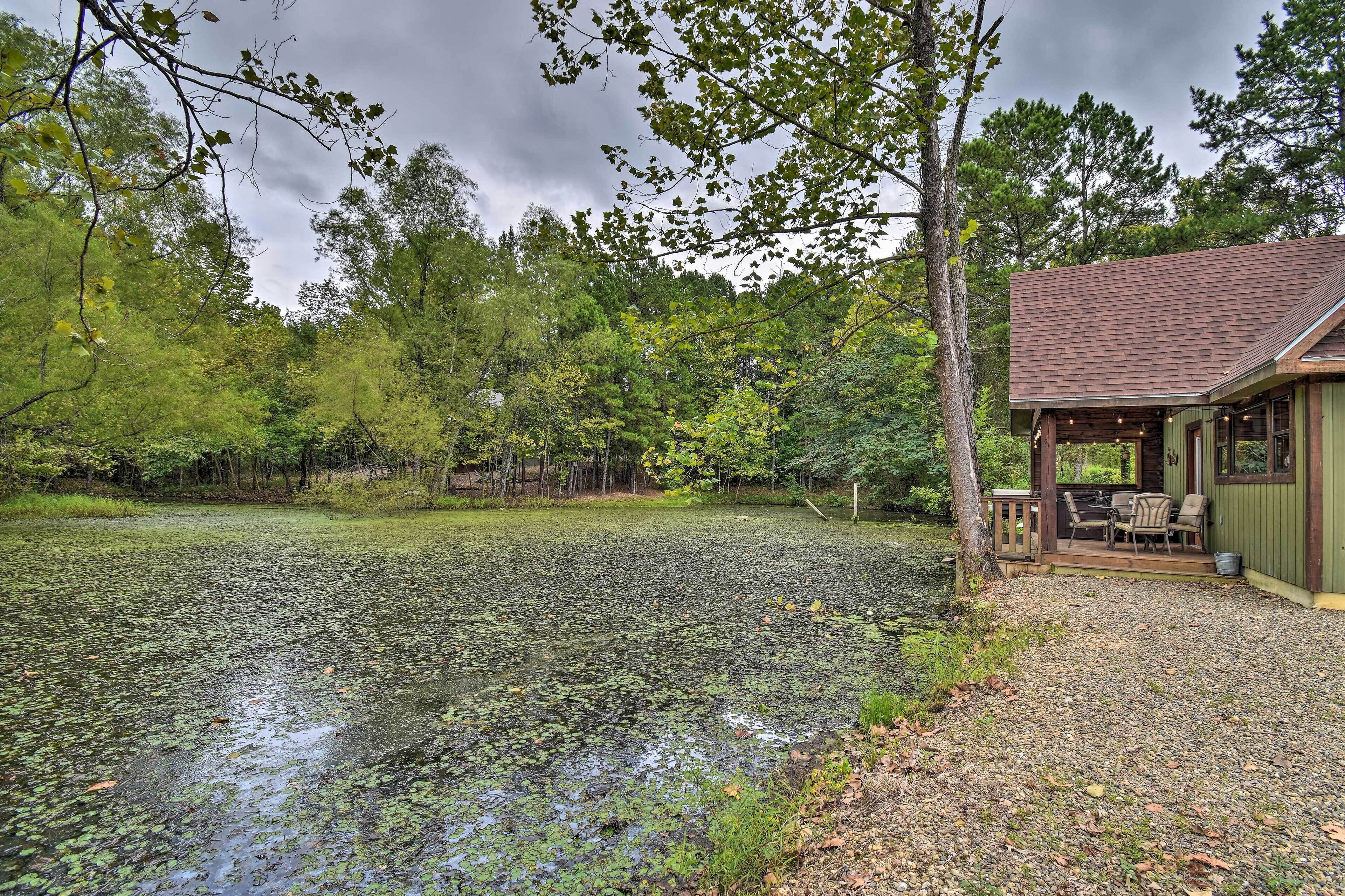 A cabin with a covered porch, a pond with lily pads, and surrounding forest.