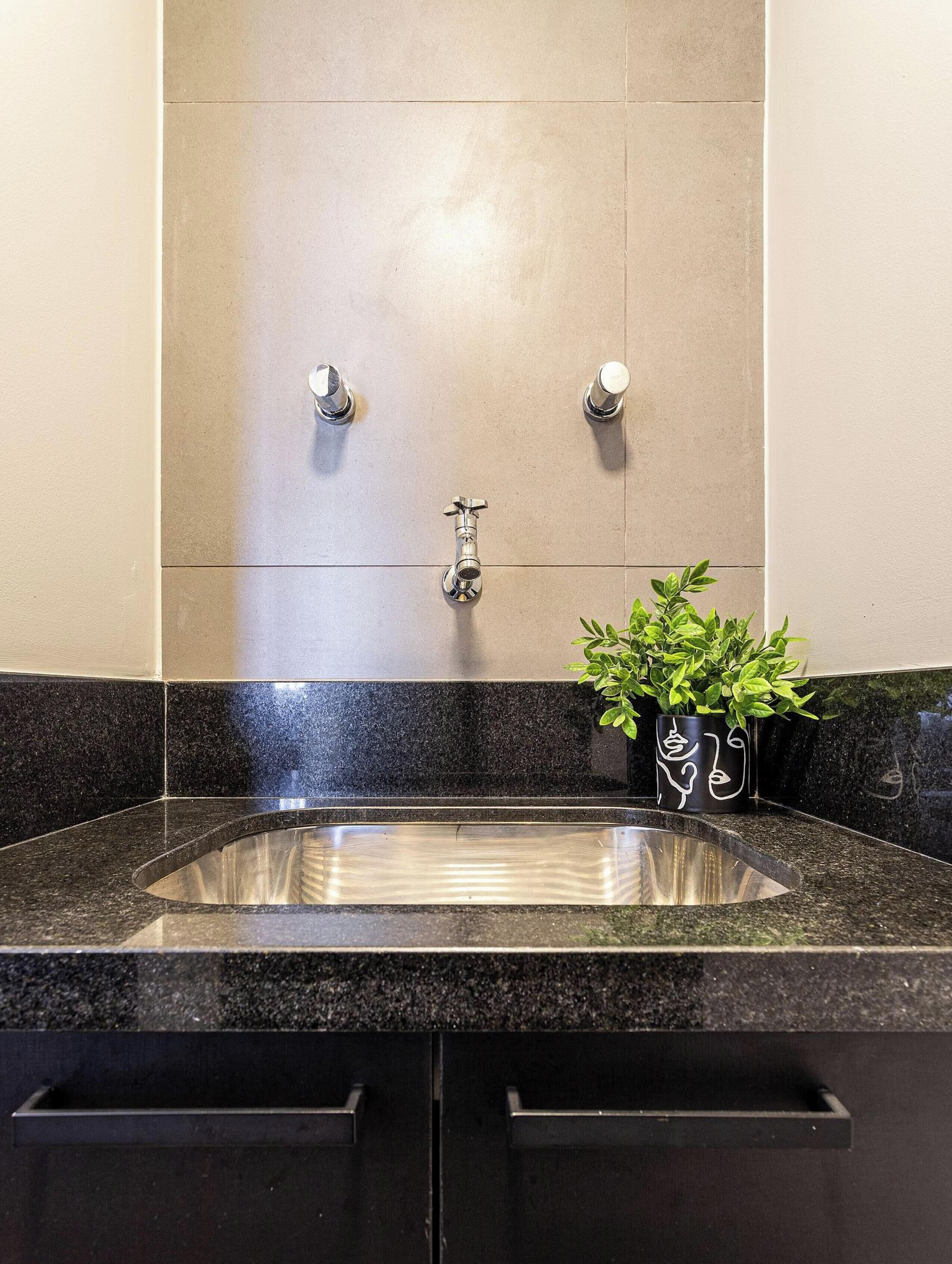 A bathroom with a sink, two faucets, and a potted plant.