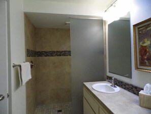 Chuveiro, secador de cabelo, toalhas de banho, papel higiênico