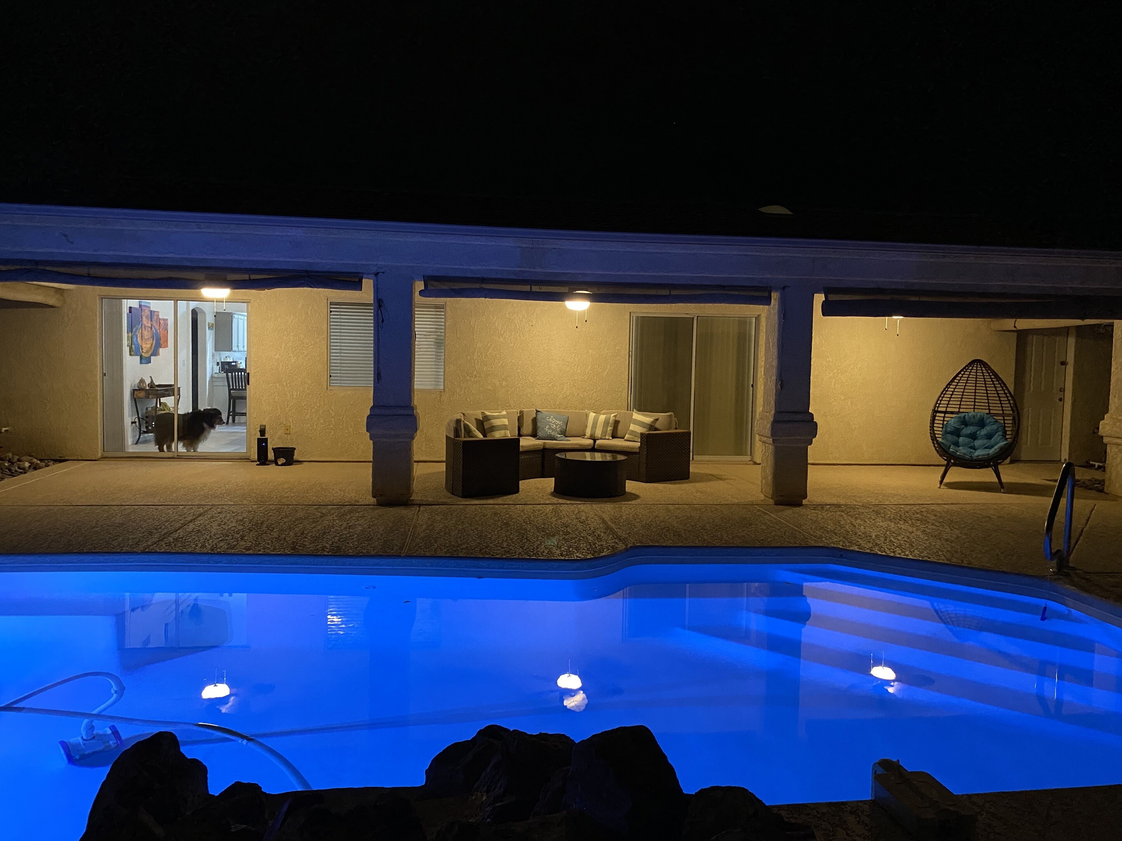 A pool area with a clear view of the pool, a seating area with a sofa and chairs, and a hanging chair.