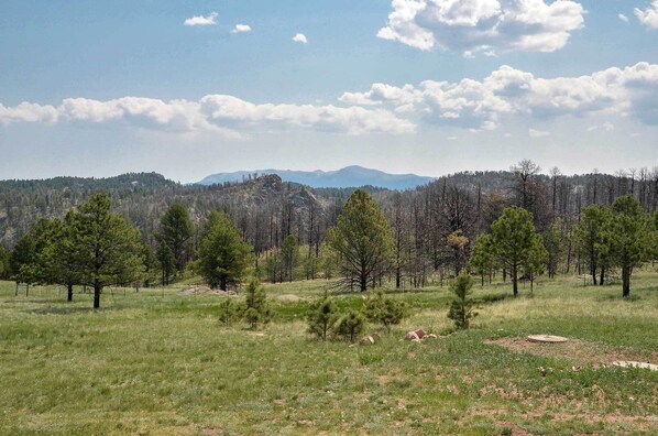 Ferienhaus (4 Bedrooms) | Innenbereich