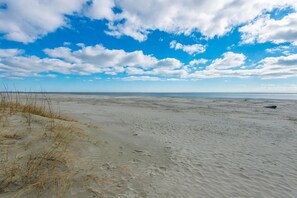 在海滩