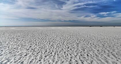 Bright Sarasota Bungalow - 5 Mi to Siesta Beach!