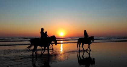 Freshly Updated 3BR with Pool · Walk to the Beach – Casa Luz de Luna