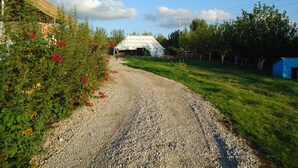 Un sendero de grava que conduce a un granero blanco con una estructura azul cerca.