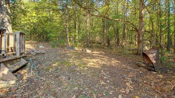 A forested campsite with a metal bench and a small structure.